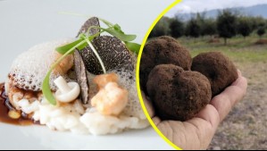 El 'oro negro' que se cultiva en Chile: el secreto gourmet que conquista el mundo