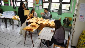 Qué se vota en las elecciones de noviembre en Chile: guía de cargos presidencial y parlamentarios