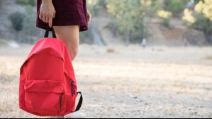 Head está buscando trabajadores: Estas son las ofertas laborales y así puedes postular