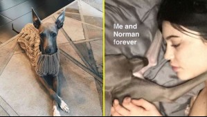 La pérdida que enlutó a Kylie Jenner: 'Nunca había amado tanto nada'