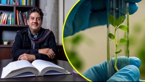 Científico chileno Rodrigo Gutiérrez es destacado entre los investigadores más influyentes del mundo: Estas son las razones