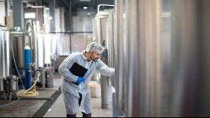 Colún está buscando trabajadores: Conoce las ofertas laborales y cómo postular a ellas