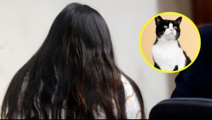 Mujer es detenida por amenazar a su expareja con tirar sus gatos a la calle si no le daba $3 millones: 'Le iba a arruinar la vida'