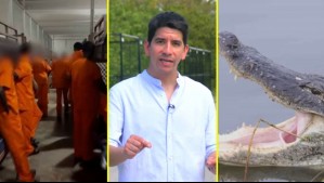 Viven en jaulas y rodeados de caimanes: Chilenos presos en Alligator Alcatraz rompen su silencio con 'Cárceles del Poder'