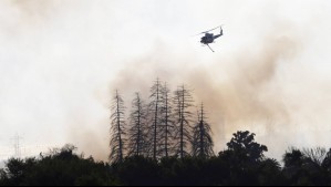Senapred declara Alerta Roja para comuna de la región de Los Lagos debido a un incendio forestal