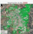 18 de las 35 comunas analizadas aún registran menos vegetación que hace 25 años. Tres comunas del sector poniente y sur destacan por las caídas más dramáticas. Revisa el estudio.