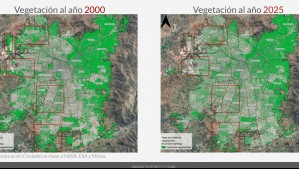 Las comunas más golpeadas por la pérdida de vegetación en Santiago: Pudahuel, Quilicura y San Bernardo encabezan el deterioro