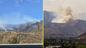 Gran incendio forestal afecta al sector de Túnel Lo Prado en Curacaví