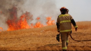 Senapred declaró 'alerta roja' para comuna de la región de O'Higgins por incendio forestal: 'Está cercano a sectores poblados'