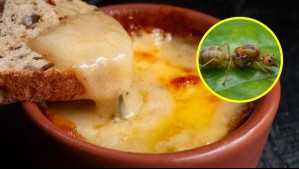 Fue a un restaurante, pidió un plato y le salió una hormiga: Se quejó y le destrozaron el auto