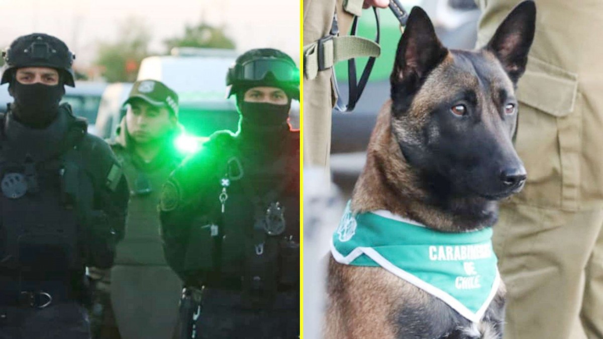 2.495 detenidos, 452 kilos de droga y 81 armas incautadas: Así fue la Operación Fortaleza III desplegada en todo Chile