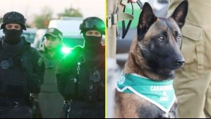 2.495 detenidos, 452 kilos de droga y 81 armas incautadas: Así fue la Operación Fortaleza III desplegada en todo Chile