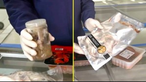 Tortugas, patos y gansos: Clausuran supermercado chino que vendía animales exóticos e incumplía requisitos sanitarios en Santiago