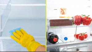 ¿Por qué las toallas desinfectantes no sirven? Así es como debes limpiar correctamente el interior del refrigerador