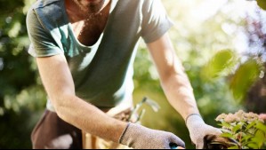 La increíble petición de un jardinero español: Pidió teletrabajar dos días a la semana