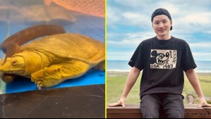 Yuhui responde a funa en su contra tras comer tortuga: 'Ahora solo puedo comer carne'