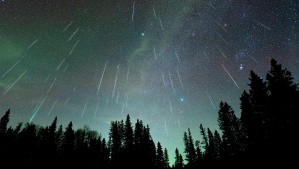 Lluvia de meteoros Leónidas 2025: Revisa cuándo es el mejor momento para observarla en Chile