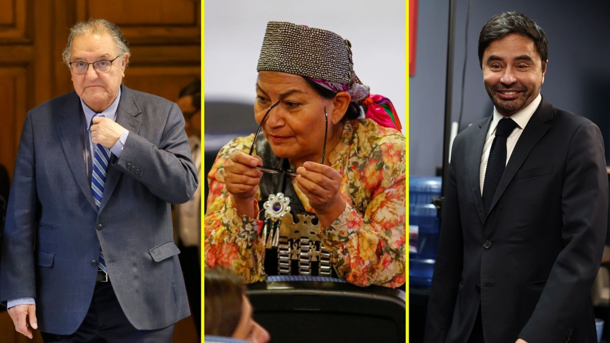 Elecciones de senadores en La Araucanía: Rodolfo Carter y Vanessa Kaiser entre los electos, mientras Elisa Loncón queda fuera