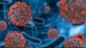 Confirman tres muertos por brote del virus de Marburgo en Etiopía: Es similar al ébola y tiene una alta tasa de mortalidad