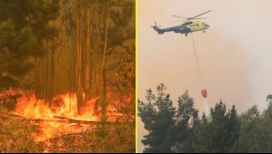 Senapred cancela Alerta Roja para comuna de la región de O'Higgins por incendio forestal