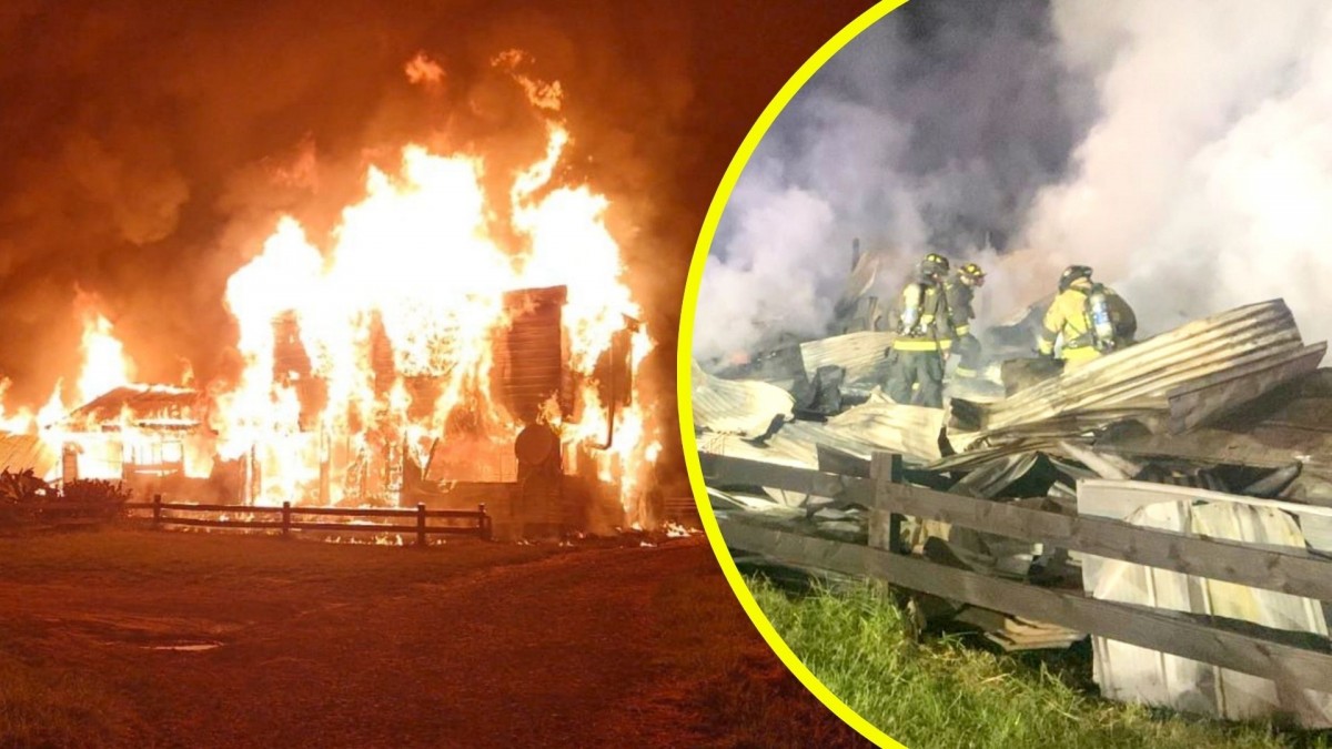 Tragedia en Río Bueno: Adulta mayor y adolescente mueren en incendio que afectó a su casa