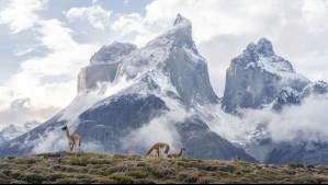 Dos mexicanos fallecieron y hay 7 turistas desaparecidos: Lo que se sabe de la tragedia en Torres del Paine