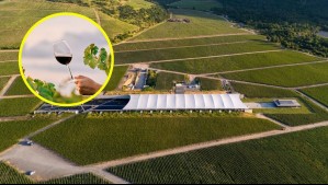 La mejor viña del mundo en 2025 según World's Best Vineyards está en Chile: ¿Cuál es y en qué zona está ubicada?
