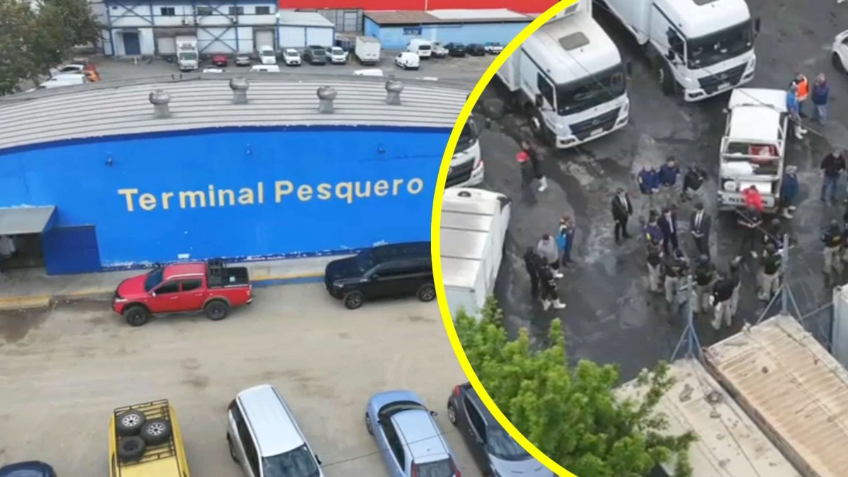 Desbaratan bandas de robo y venta de salmón en el Terminal Pesquero de Santiago