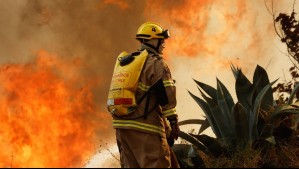 Incendio forestal en Tiltil: Senapred emite alerta SAE y 'ordena evacuar' sector de la comuna