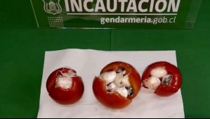 Mujer trató de ingresar tomates rellenos con drogas a la cárcel de Temuco