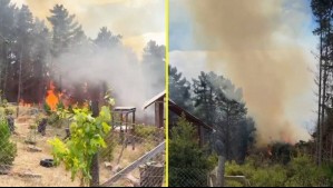 Senapred llama a evacuar sector de Valparaíso por incendio forestal y declara Alerta Roja