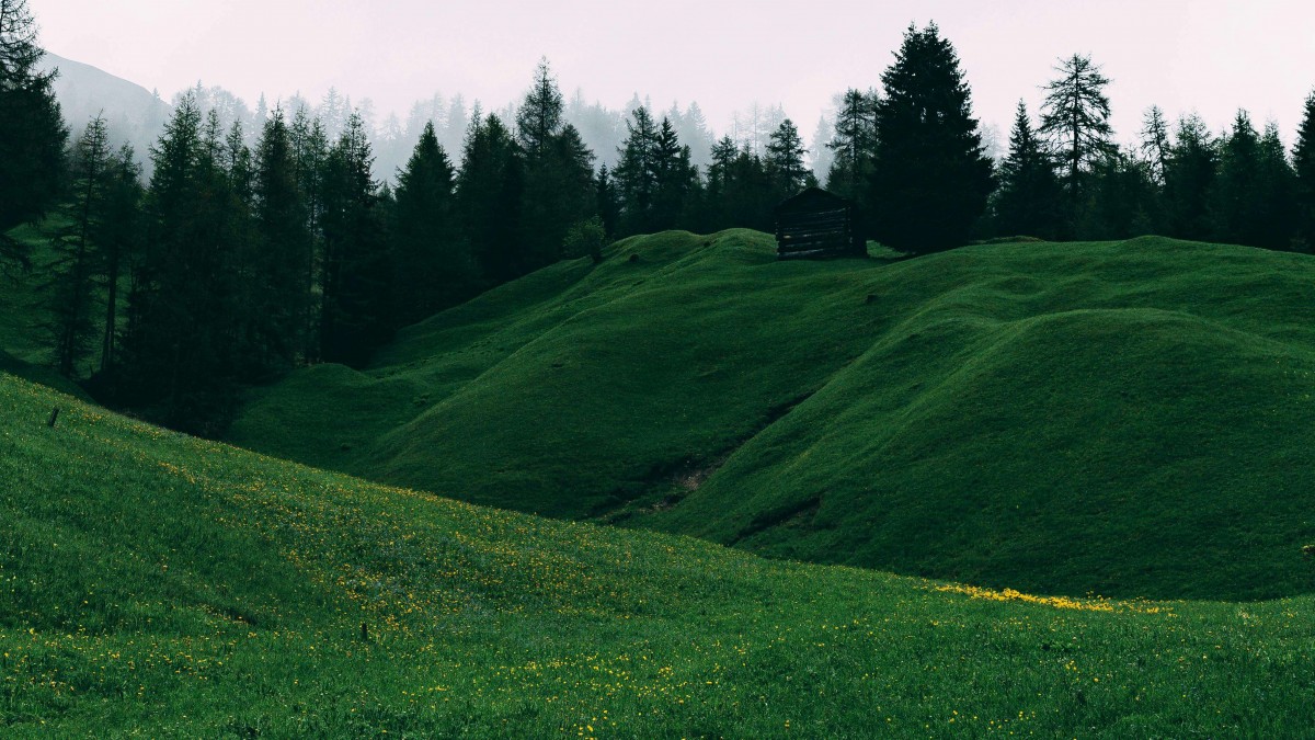 Enel restaura antiguo vertedero de cenizas en Bocamina para convertirlo en un pulmón verde