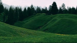 Enel restaura antiguo vertedero de cenizas en Bocamina para convertirlo en un pulmón verde