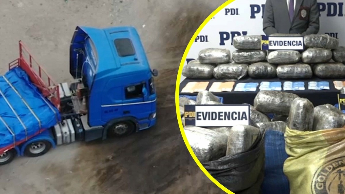 Trasladaba 500 kilos de marihuana a Santiago: Camionero cae en operativo de la PDI en la Ruta 5 Norte