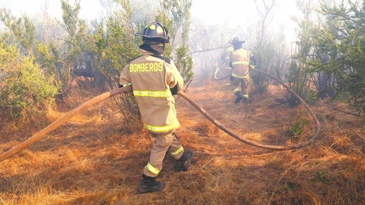 Declaran alerta roja para Rancagua por incendio forestal: Llamas están cercanas a sectores habitados
