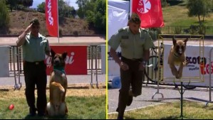 'Grifo', 'Elián' y 'Mate': Perros de Carabineros encantan con su talento en la Mascotatón