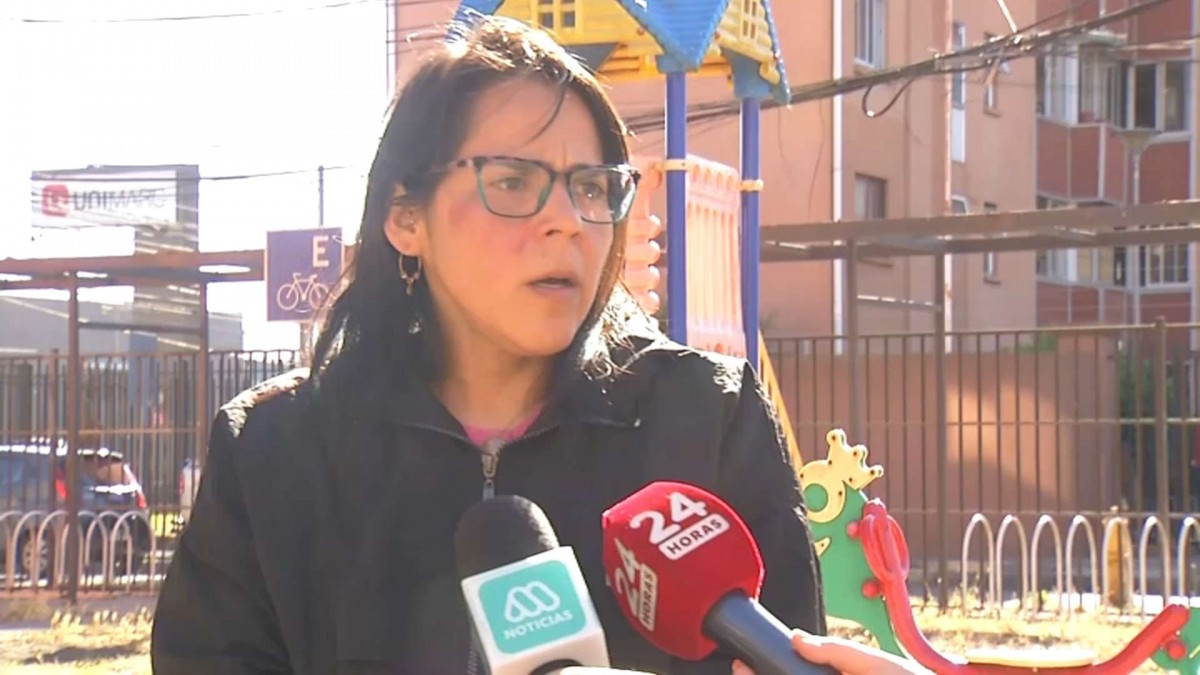 'Jamás pensé que me iba a empujar y a tirar de la silla': Habla mujer que fue agredida por guardia del Biotren EFE Sur