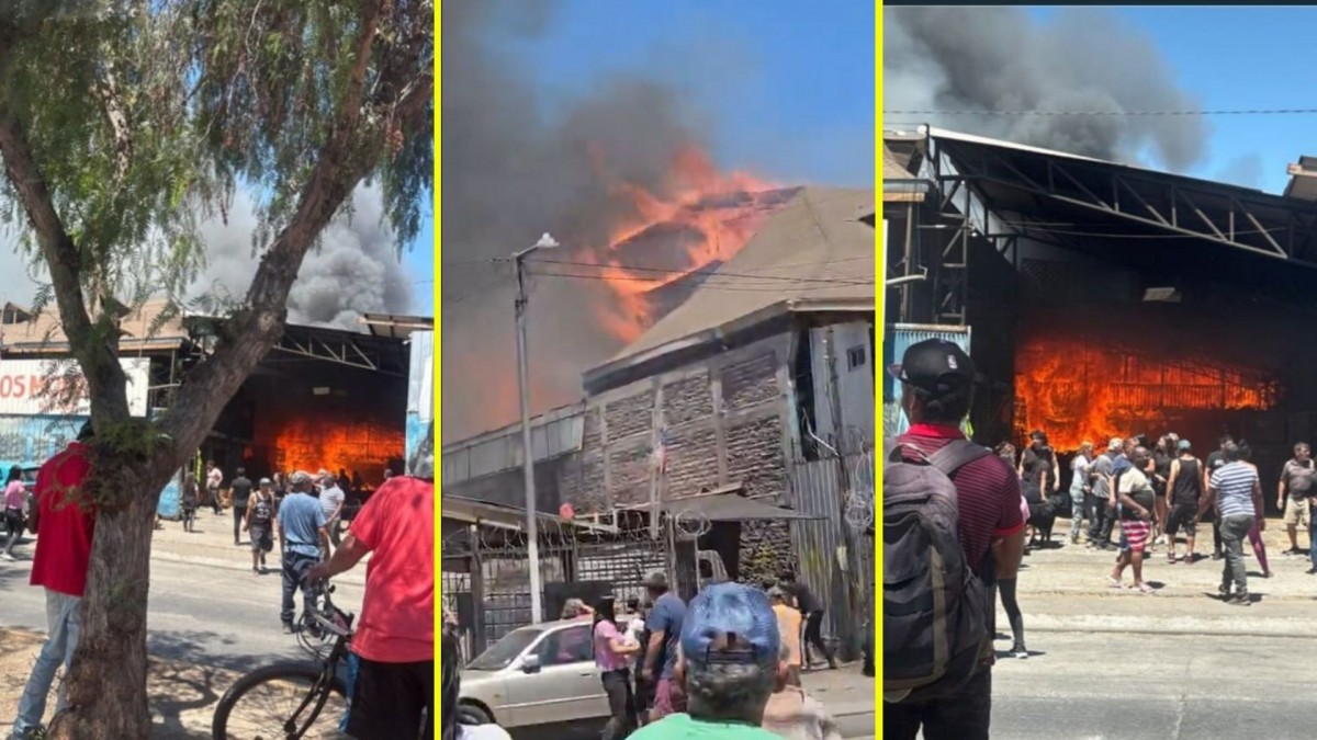 Voraz incendio afecta a distribuidora de maderas en El Bosque