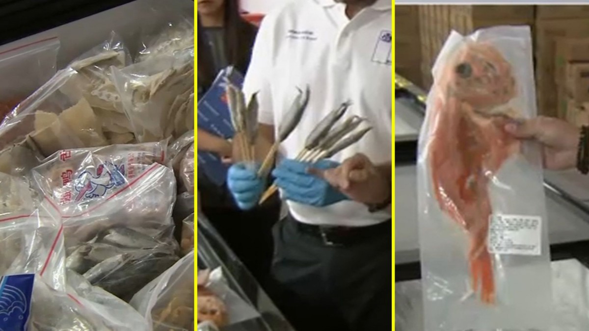 Colas de pescado, patos y hasta brochetas de sardinas sin etiquetado: Fiscalizan local chino reincidente y su administrador escapa