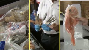 Colas de pescado, patos y hasta brochetas de sardinas sin etiquetado: Fiscalizan local chino reincidente y su administrador escapa