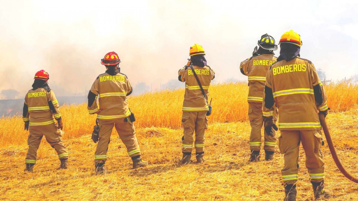 Llaman a evacuar sectores de Las Cabras por incendio forestal que amenaza con llegar a sectores poblados