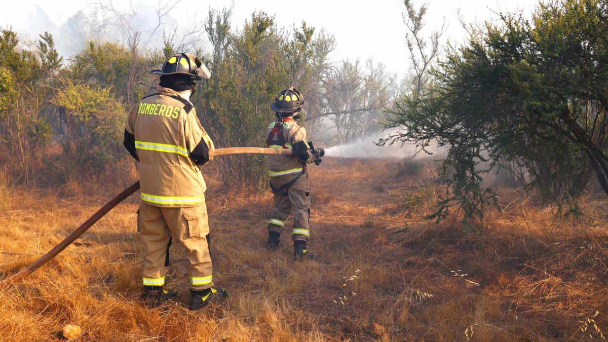 Declaran Alerta Roja para la comuna de Olmué por incendio forestal