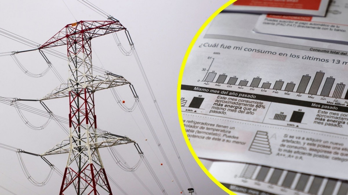 ¿Más errores en las cuentas de luz?: Gobierno acusa deficiente entrega de datos de empresas y advierte posibles sanciones