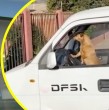 En pleno despacho en vivo del periodista Danilo Villegas, el equipo de Mega se encontró con un joven que grabó un video viral de un perro tocando la bocina en Valparaíso, el que tiene casi 3 millones de visitas en TikTok.
