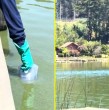 La Seremi de Salud del Maule decidió declarar zona de riesgo sanitario en el lago Vichuquén, luego de que se detectaran bacterias en la floración que pueden significar un riesgo para la salud de las personas.