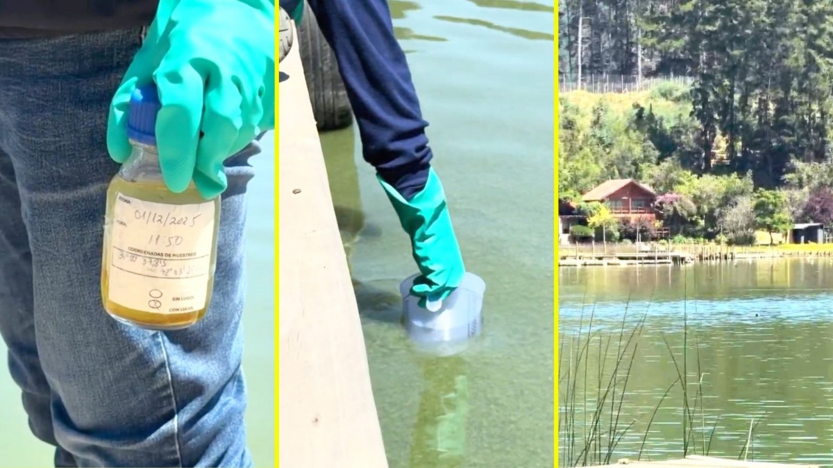 Seremi de Salud declara zona de riesgo sanitario en lago Vichuquén por presencia de bacterias peligrosas para la salud