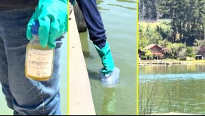 Seremi de Salud declara zona de riesgo sanitario en lago Vichuquén por presencia de bacterias