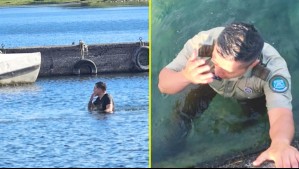 Carabinero se lanzó al lago Villarrica para detener a hombre que huyó de un control policial