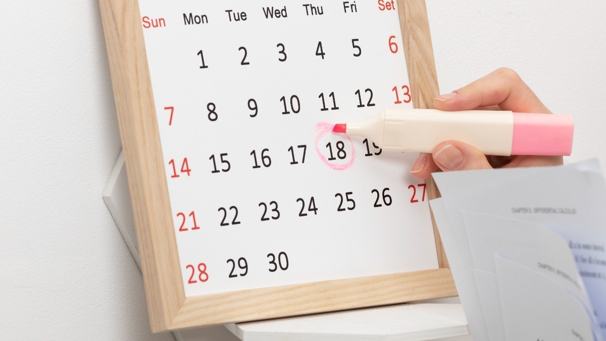 Feriados en Chile: ¿Cuántos quedan a semanas de que termine el 2025?