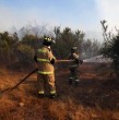 La tarde de este lunes se declaró apoyo regional por un incendio forestal en el sector de La Farfana, en la comuna de Maipú. A raíz de esto, de la Conaf anunció el envío de un avión cisterna y dos helicópteros. ¡Detalles!